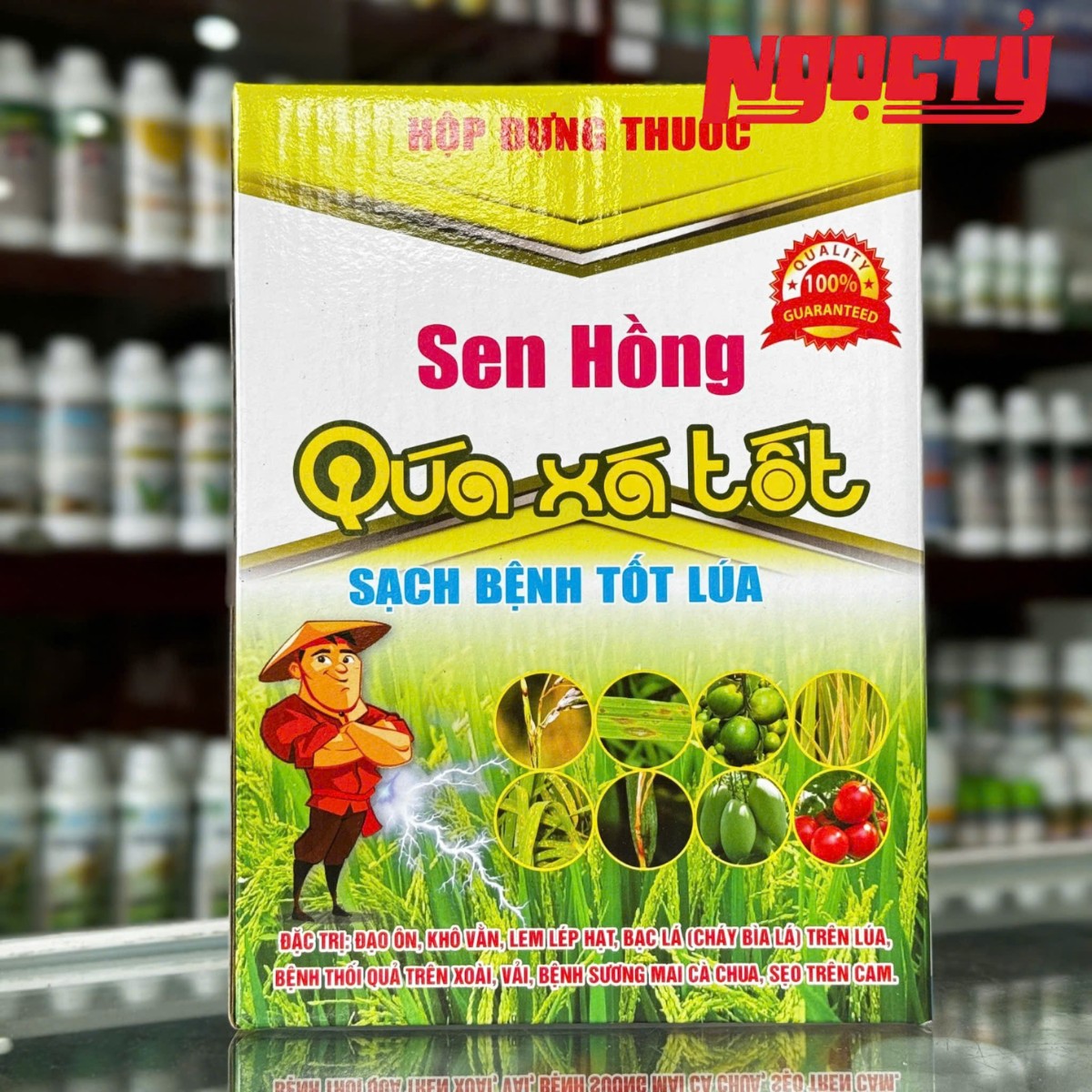 Quá Xá Tốt của Đồng Tháp Sen Hồng