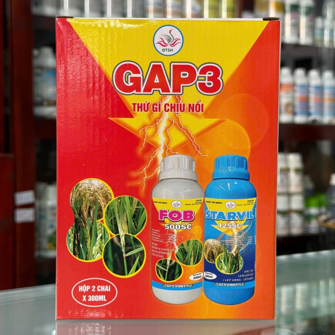 Cặp GAP 3