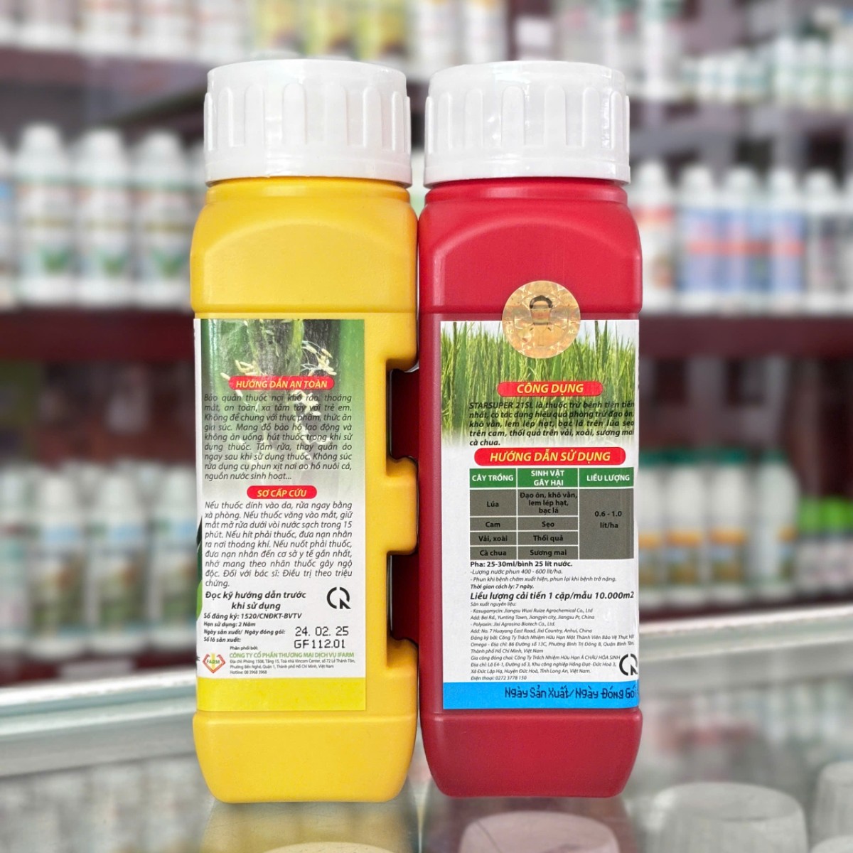 Cặp Trâu Vàng Cải Tiến của IFARM