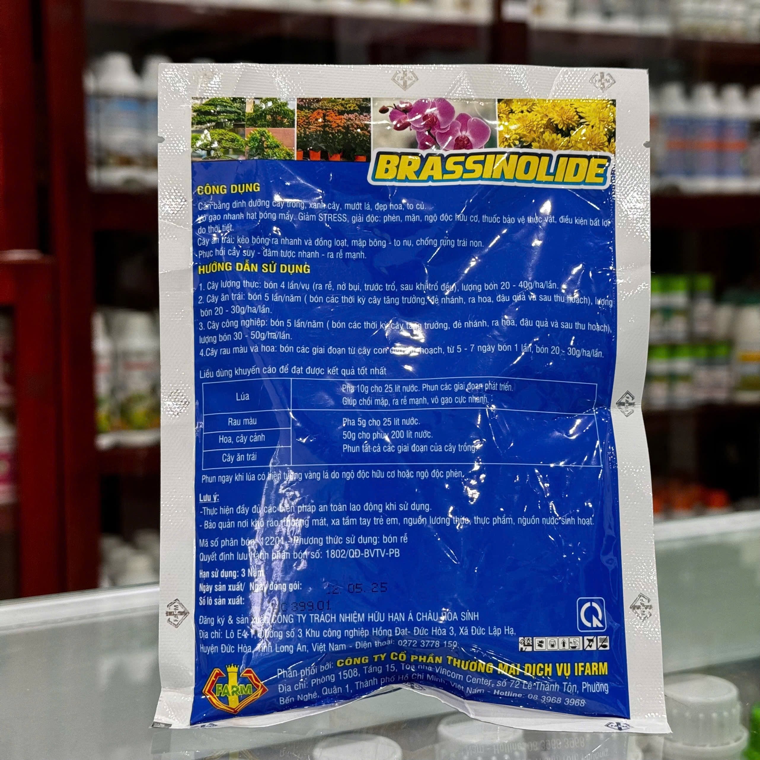 Mập Thân Mập chồi mới của IFARM