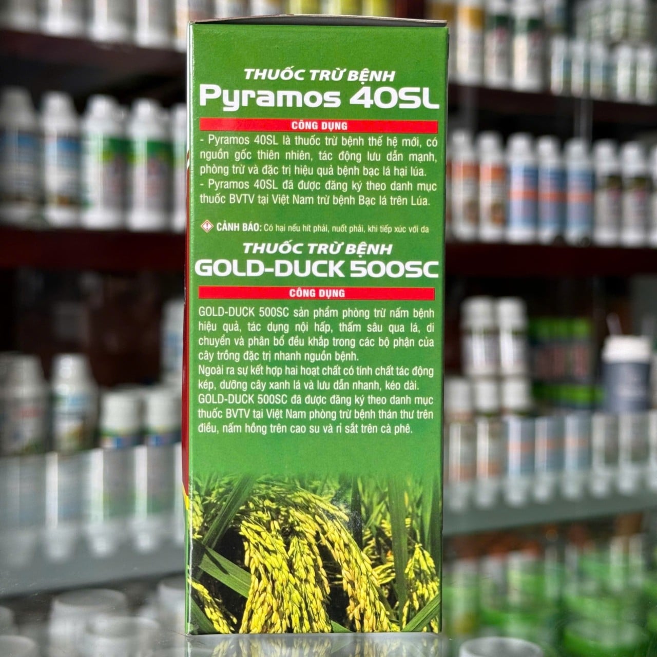 CẶP PHƯỢNG HOÀNG