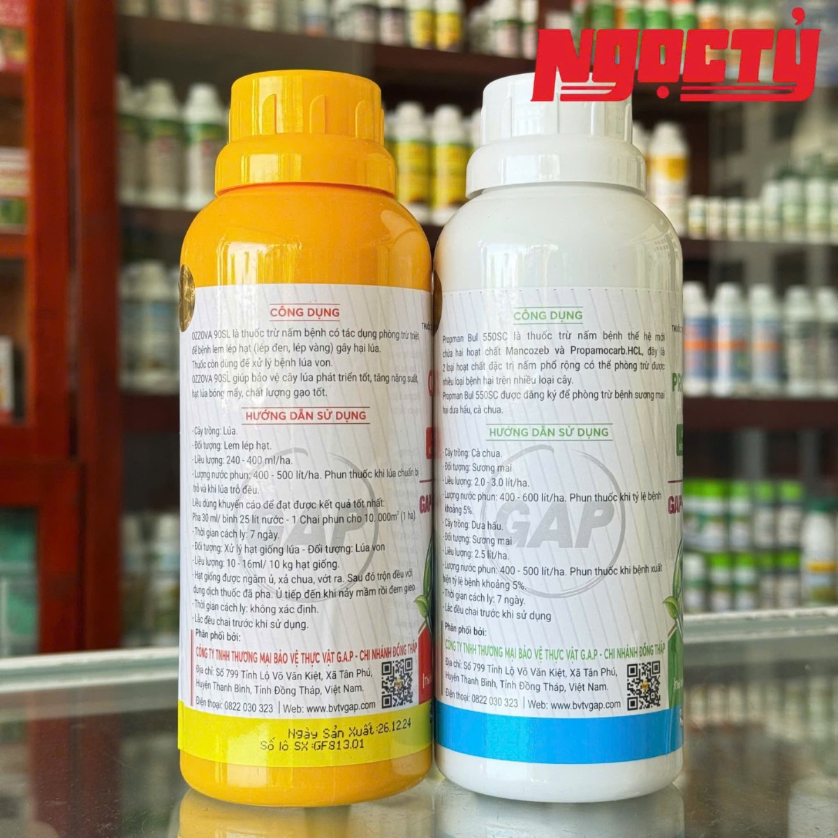 GAP - XANH LÁ - SÁNG HẠT của GAP