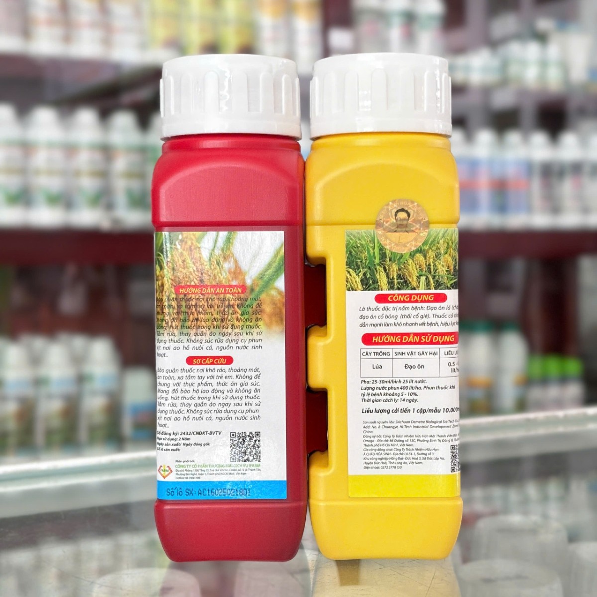 Cặp Trâu Vàng Cải Tiến của IFARM