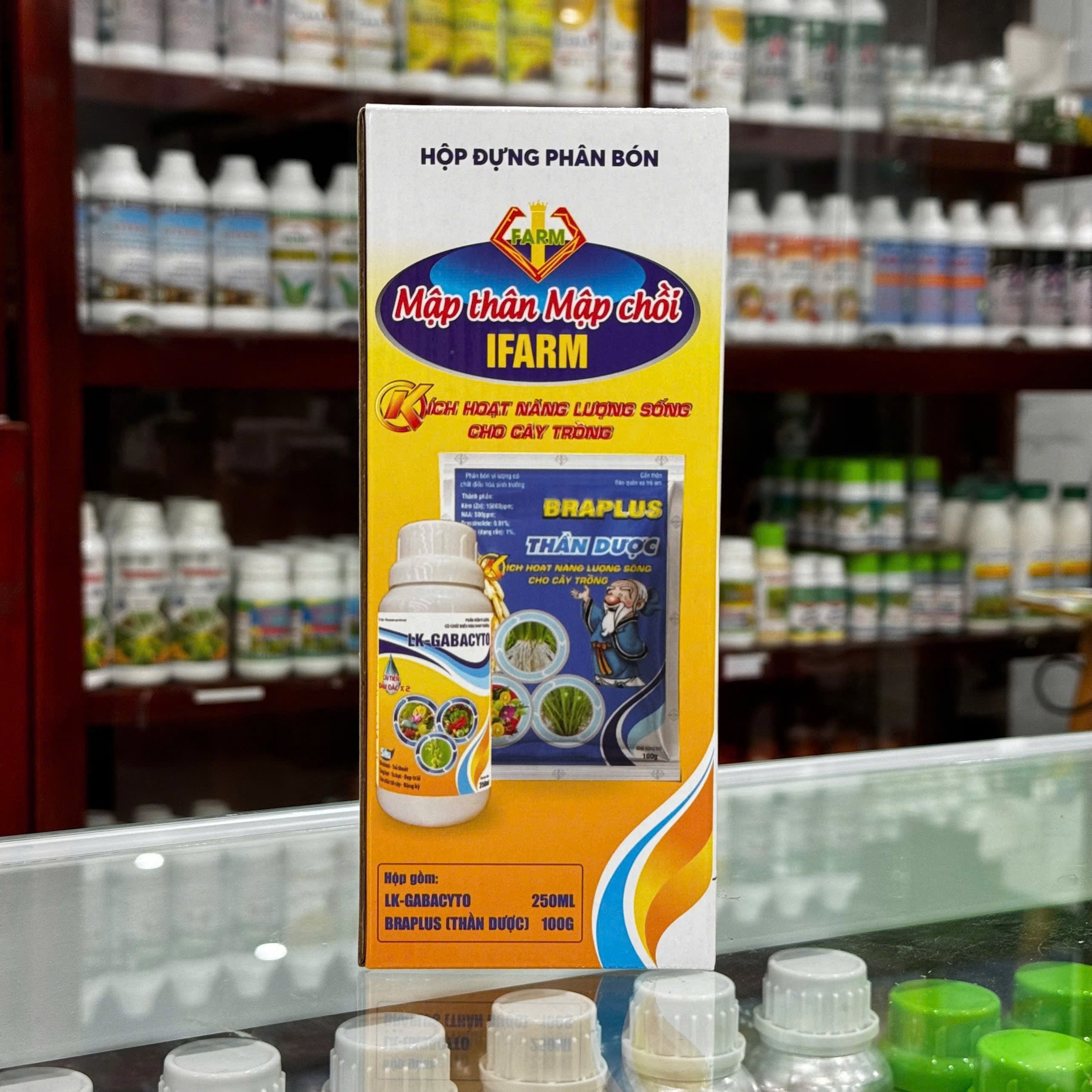 Mập Thân Mập chồi mới của IFARM