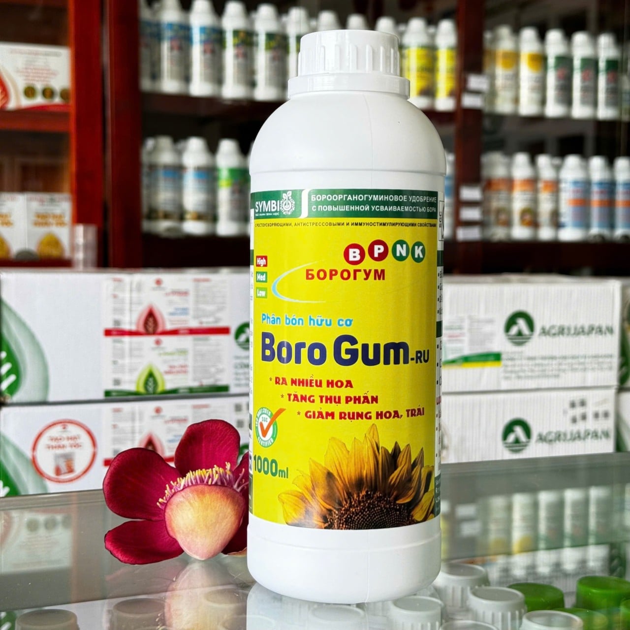 BORO GUM chai 1 lít của SYMBIO