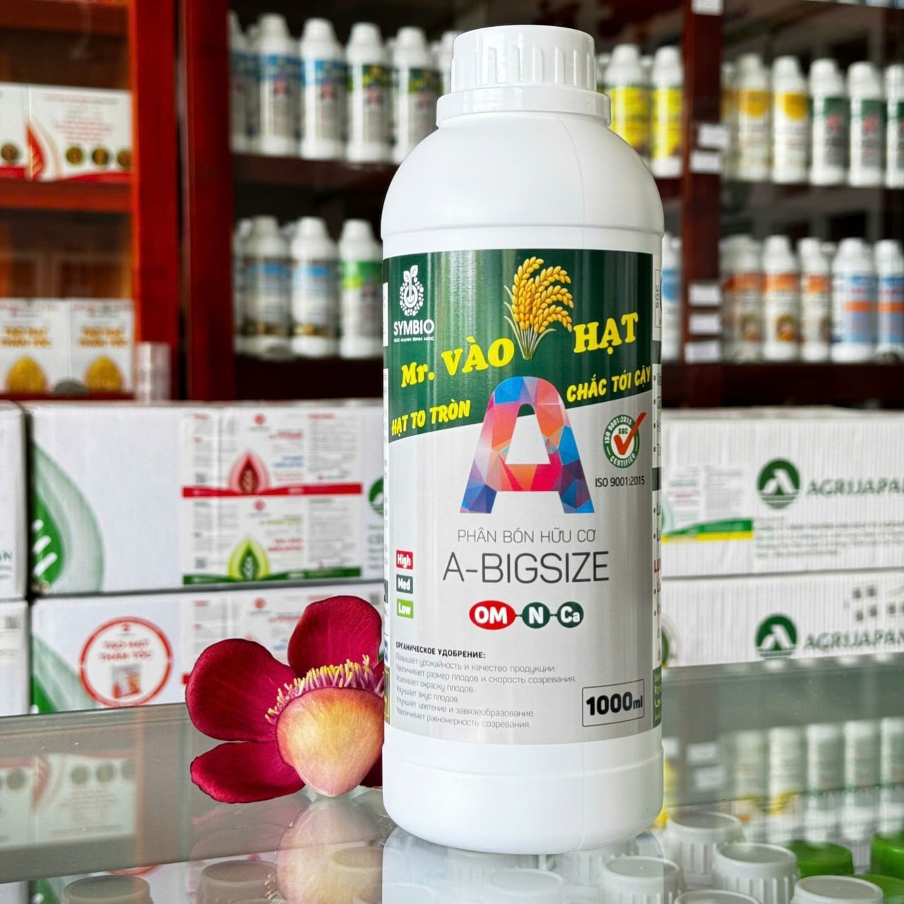 Super Big chai 1 lít của SYMBIO