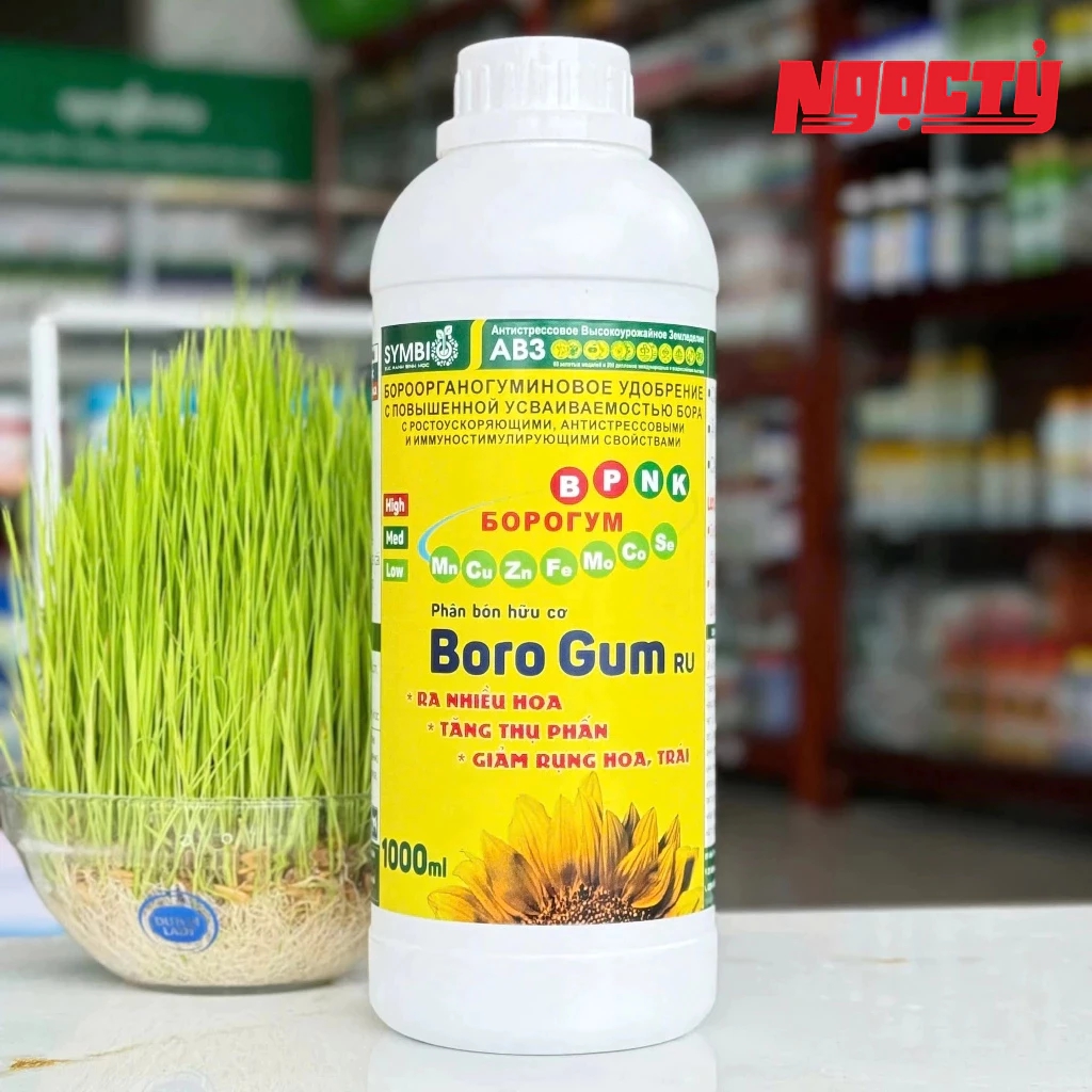 BORO GUM chai 1 lít của SYMBIO