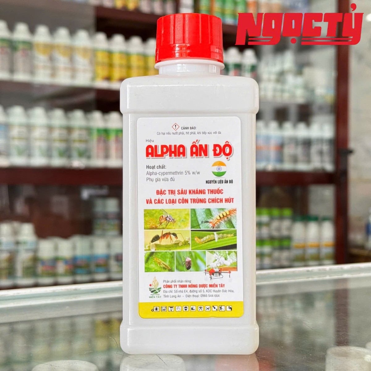 ALPHA Ấn Độ dung tích 450ml