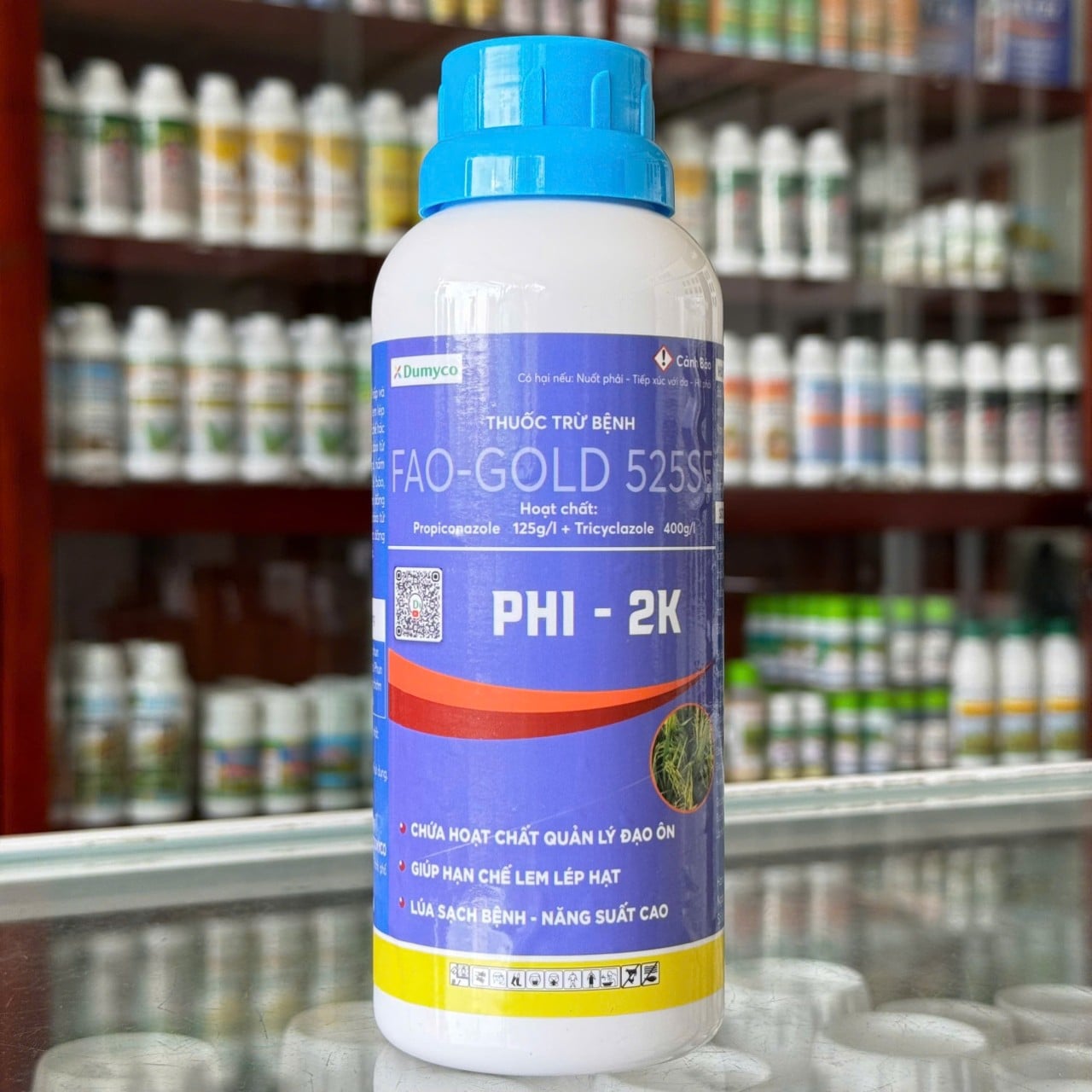 Bộ Giải Pháp Y2K của Dumyco