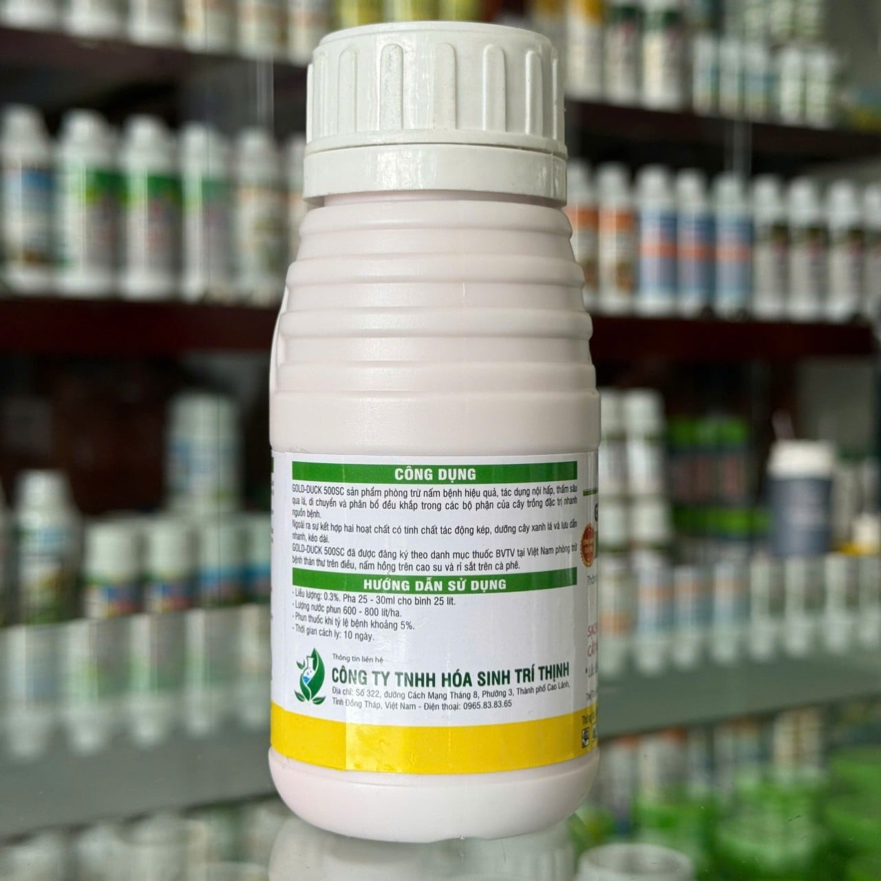 CẶP PHƯỢNG HOÀNG