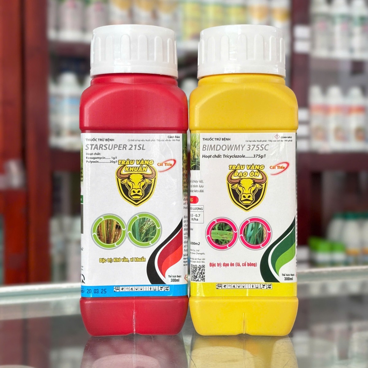 Cặp Trâu Vàng Cải Tiến của IFARM