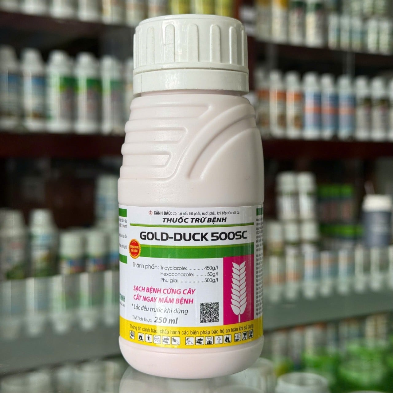 CẶP PHƯỢNG HOÀNG