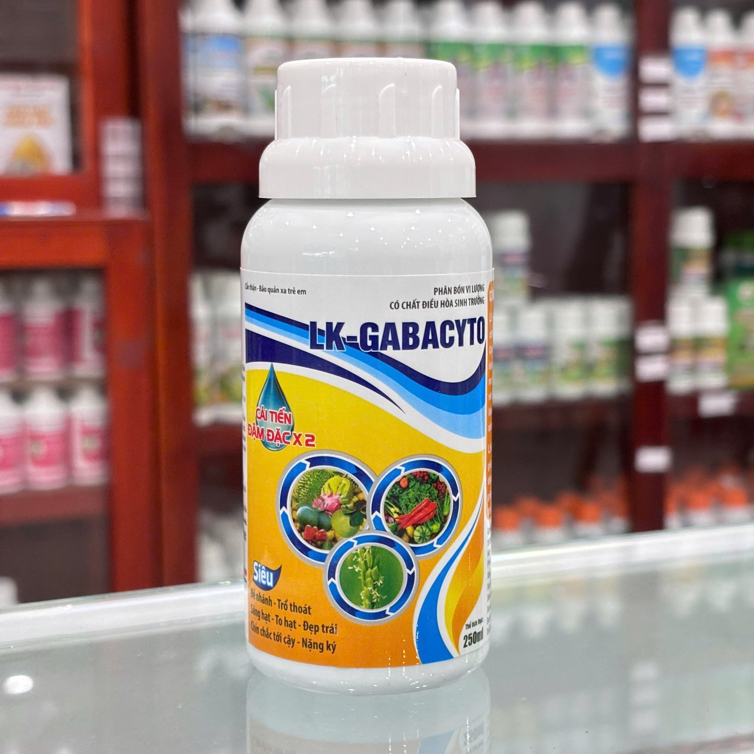 Mập Thân Mập chồi mới của IFARM