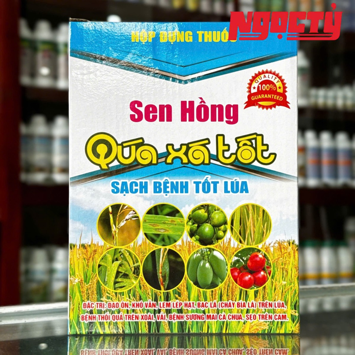 Quá Xá Tốt của Đồng Tháp Sen Hồng