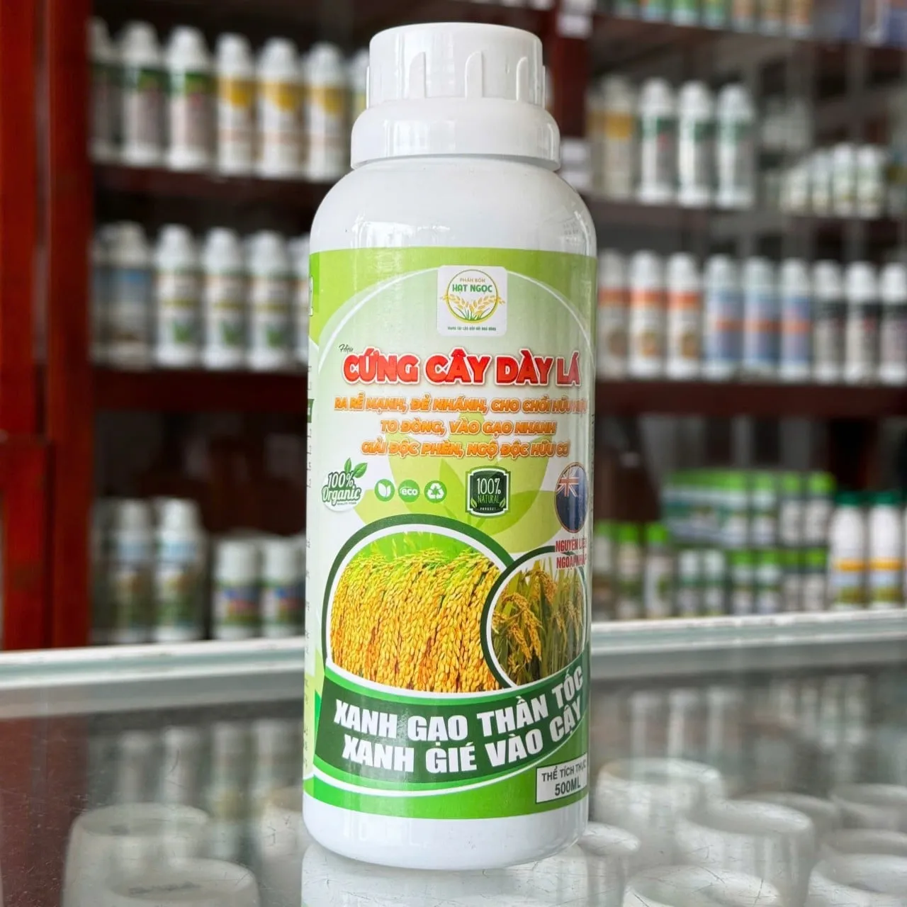 Cứng Cây Dày Lá Hạt Ngọc dung tích 500ml