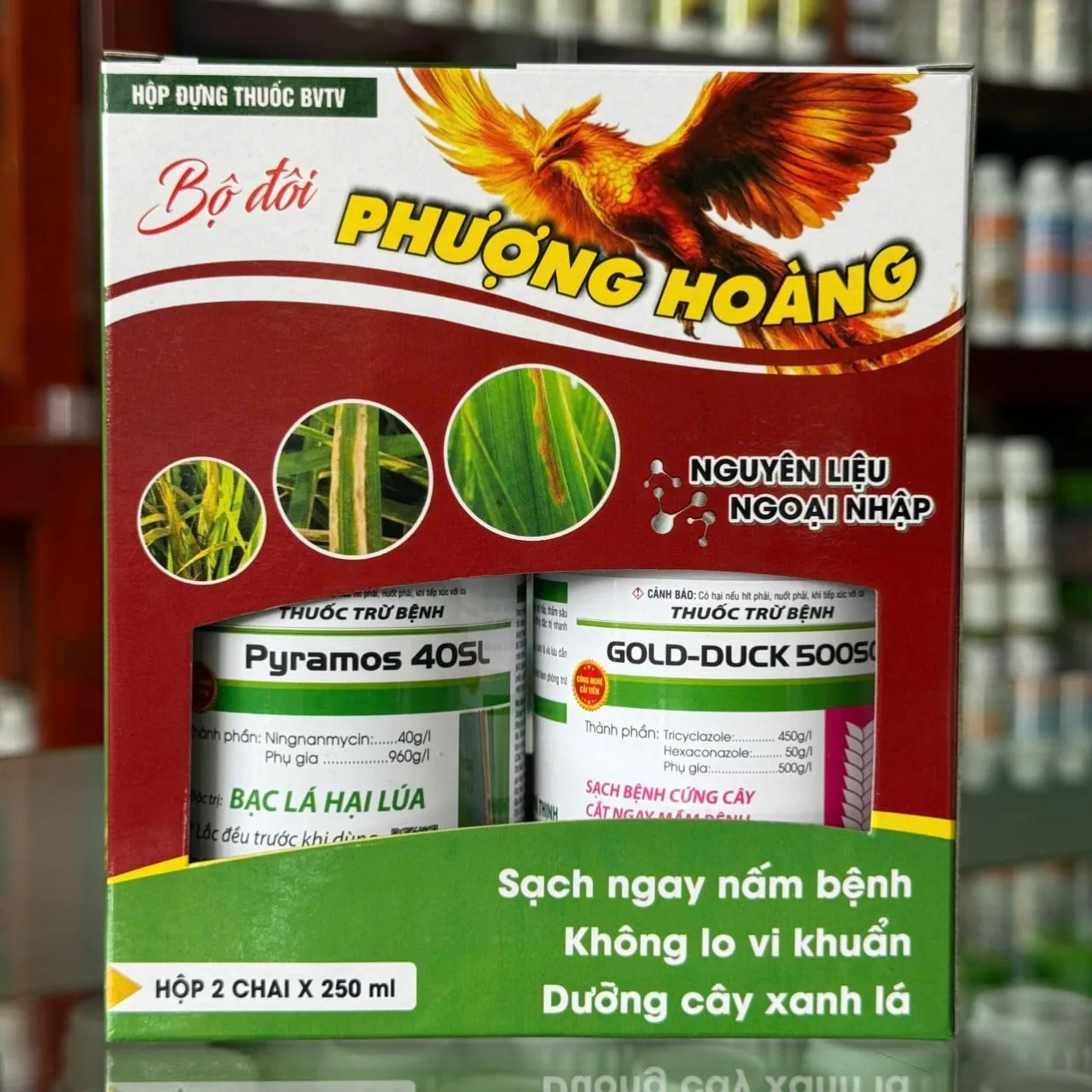 CẶP PHƯỢNG HOÀNG