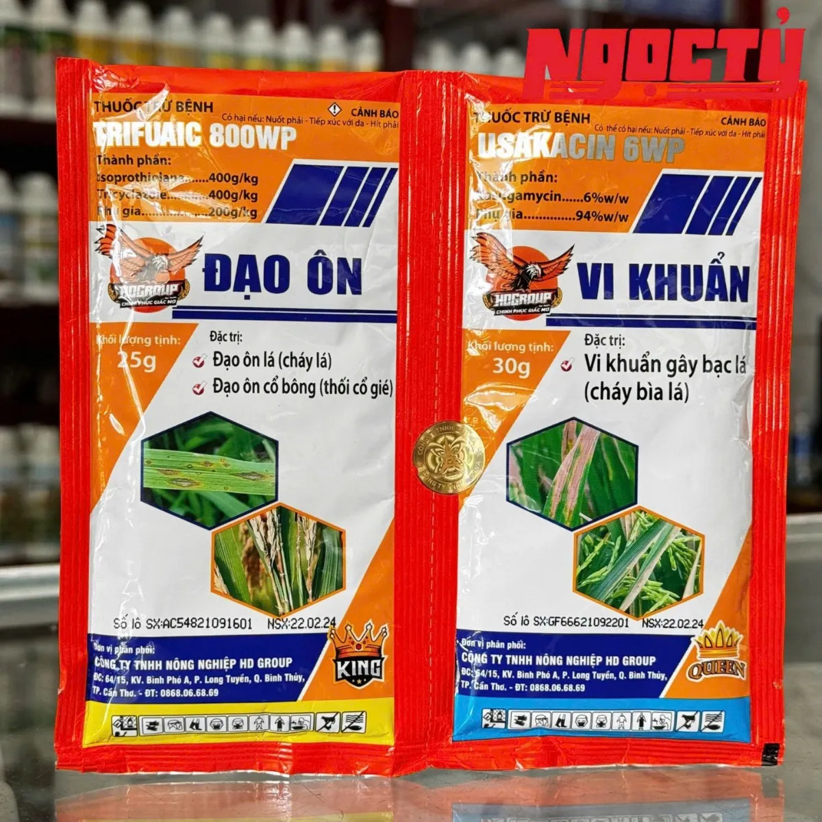 Cặp Đạo Ôn Vi Khuẩn